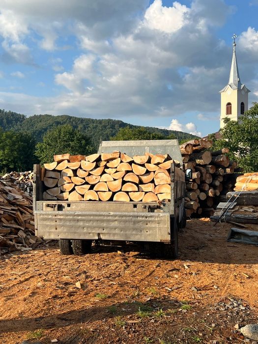 Lemn de fag la metru
