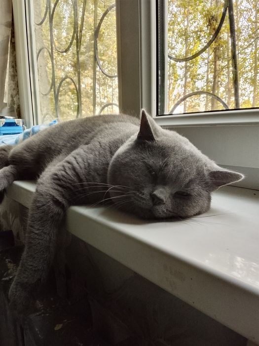 Приглашаем на вязку