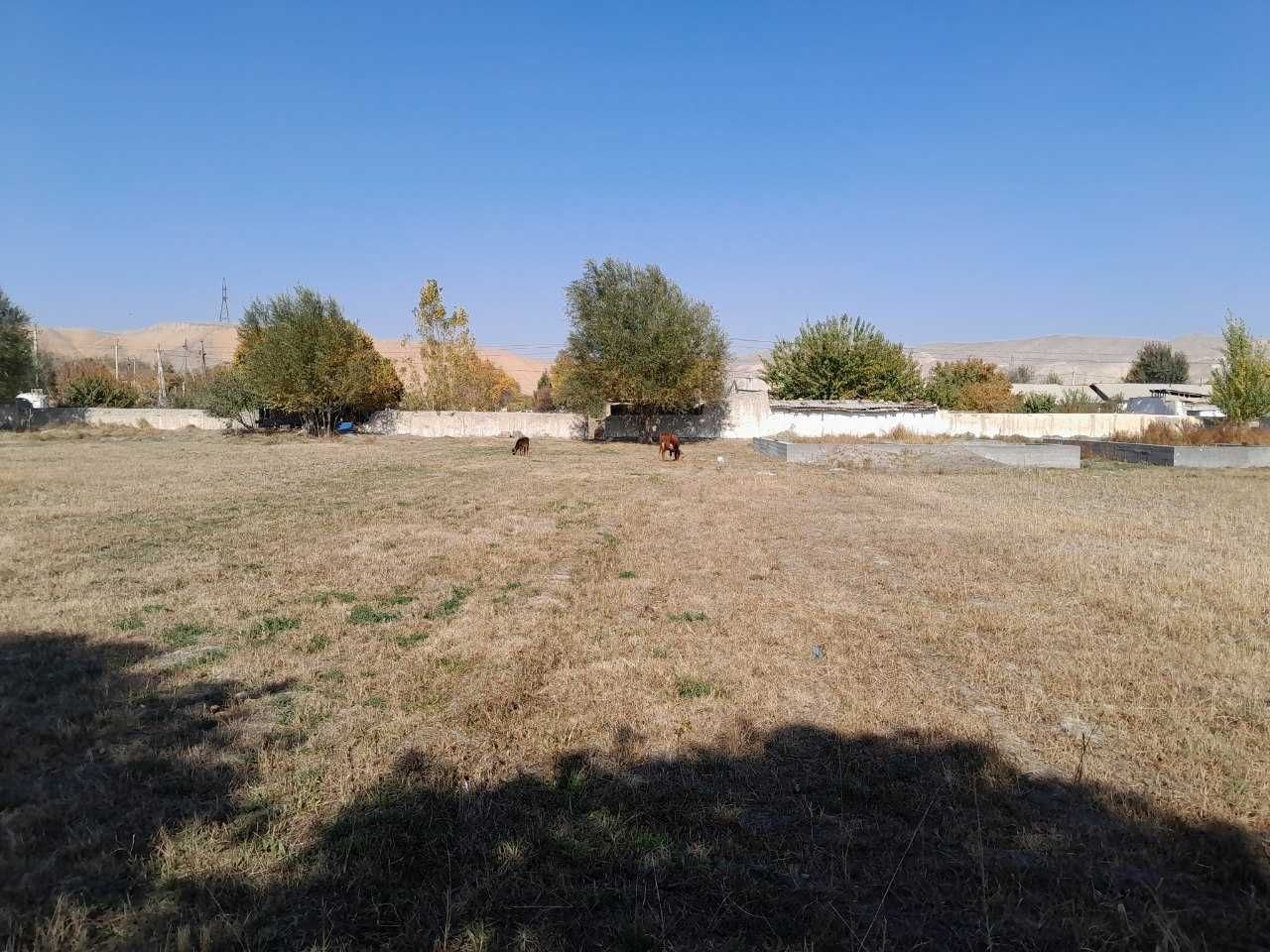Yer uchastkasi sotiladi
