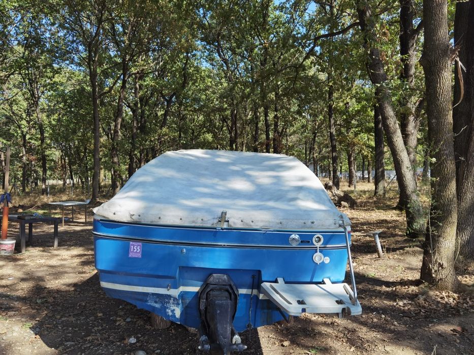 Capri 3.0 Bayliner