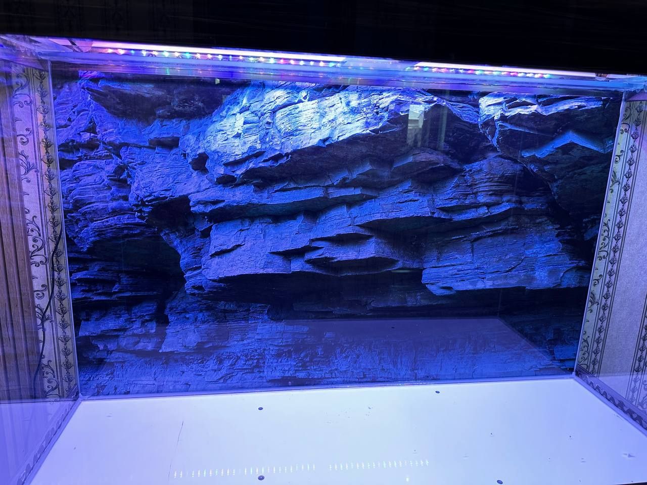 Yengi Akvarium sotiladi аквариум