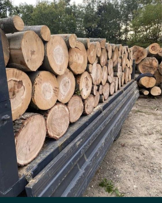 Lemne de foc Verzi/Uscate esențe tarii