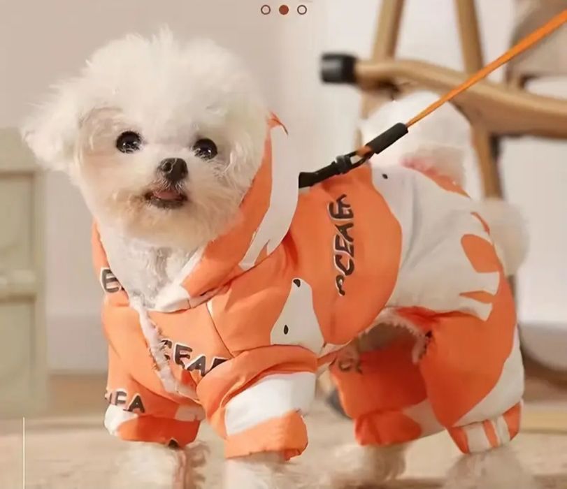 Новый зимний комбез