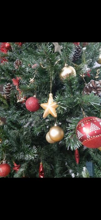 Brad Craciun 2.20 des si bogat