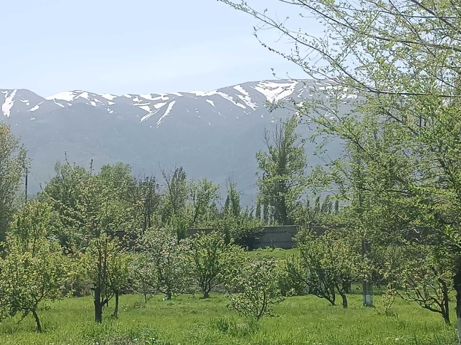 Сдается Дом с тапчаном в районе Бургулюка.