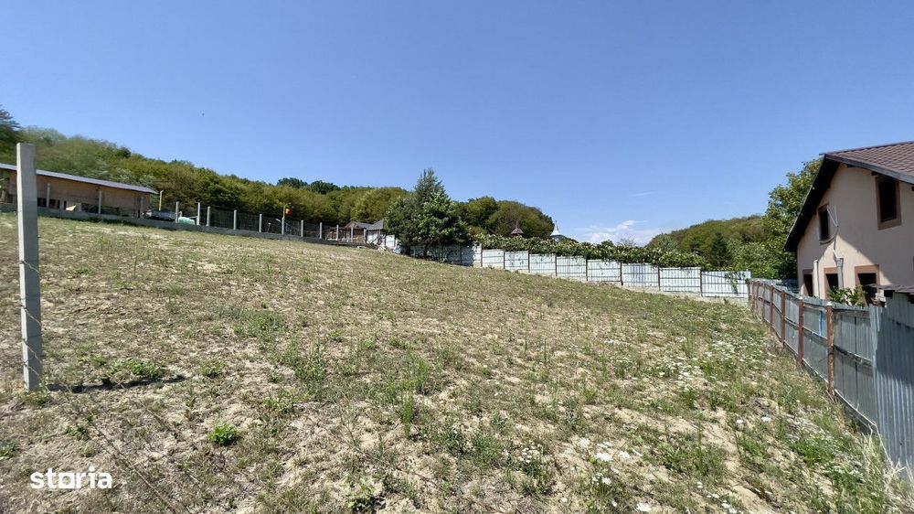 Teren Intravilan de Vis in Bascov, la Marginea Padurii!