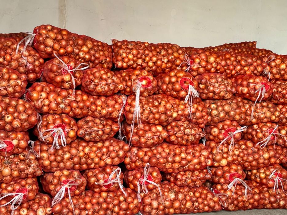 Озик овкат махсулотлари