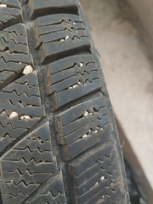 Зимние шины Triangle  сто девяносто пять  - шестдесять пятьR