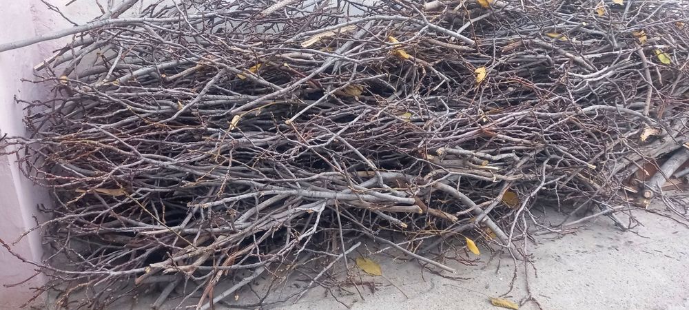 Продам дрова от орехового дерева и остальное