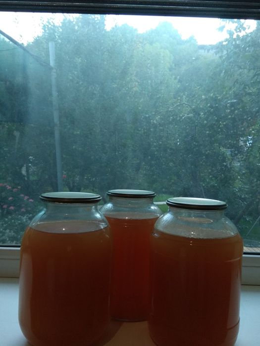 Продам яблочный сок