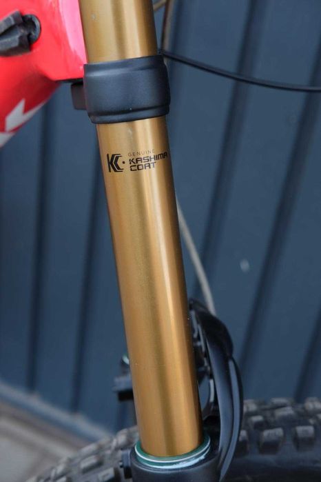 Trek Session 9.9 2021 Carbon