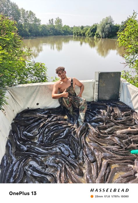Balta pescuit,zona recreere (mini delta)afacere