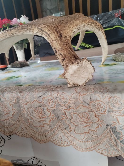 Vând ornament decorativ!!