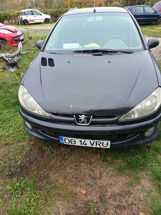 Peugeot 206 1400 cm benzina și gpl