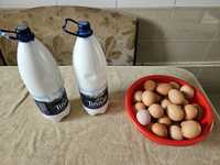 Vand oua și lapte de casa