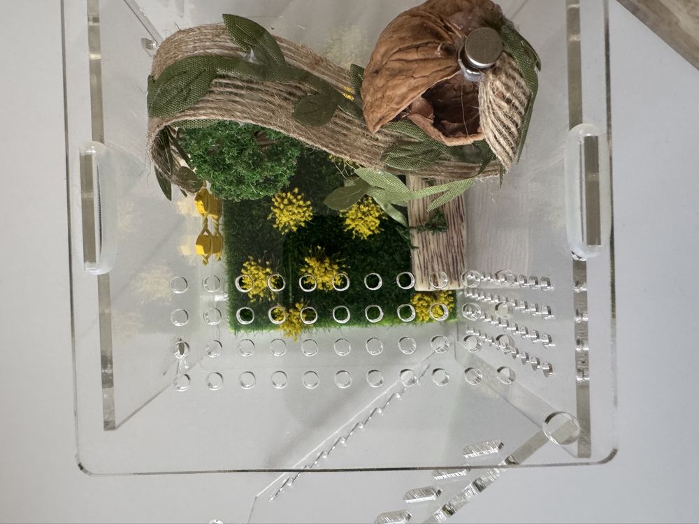 Small enclosure for insects or small reptile