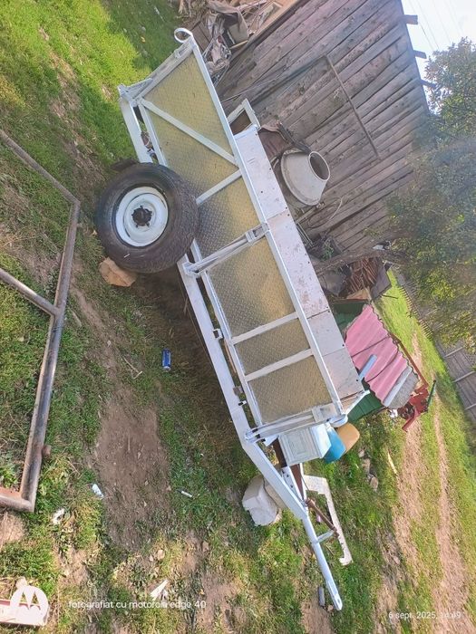 Schimb pe oi sau vitele