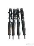 Set injectoare combustibil RENAULT KANGOO 2 2008 - > 1.5DCI 28237259