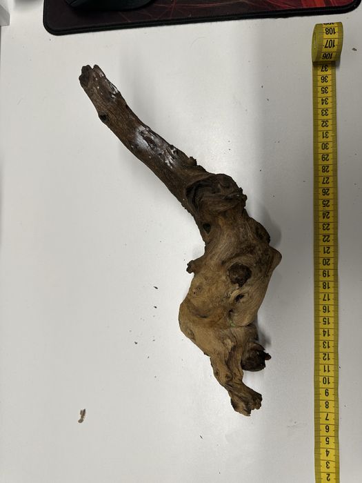 Lemne / radacini acvariu