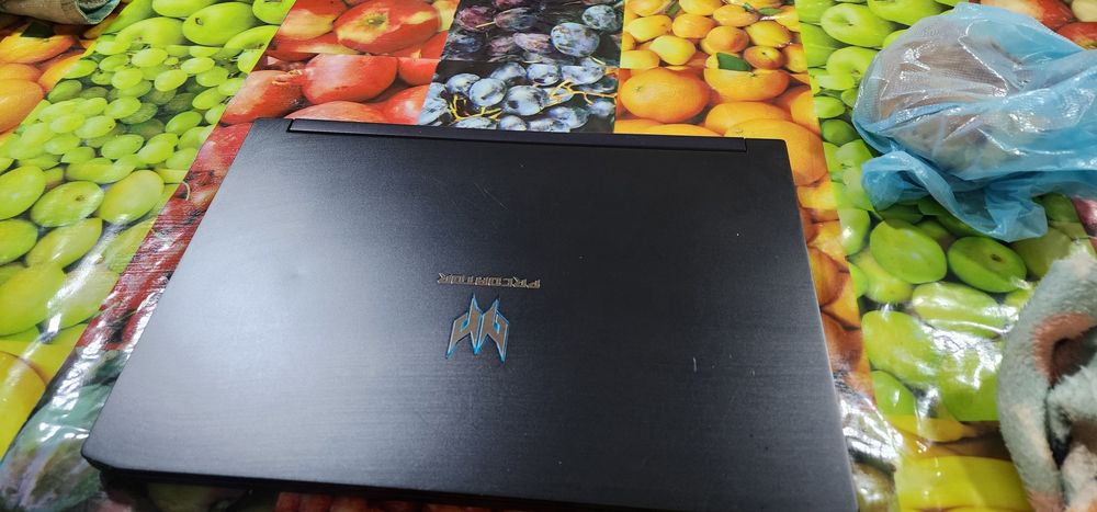 Predator acertriton 500