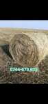 Baloti lucerna C1,C2 min40.Drept 500 sau fan.La TIR"RO UE Trans.Inclus