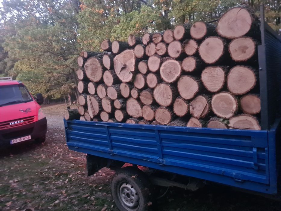 Vand lemne transport gratuit
