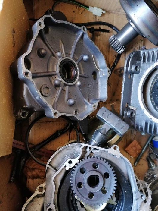 Motor Bashan 300