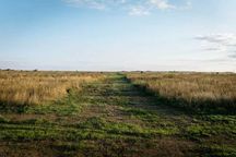 Отличный участок в пригороде Астаны — Косшы, 36 соток земли