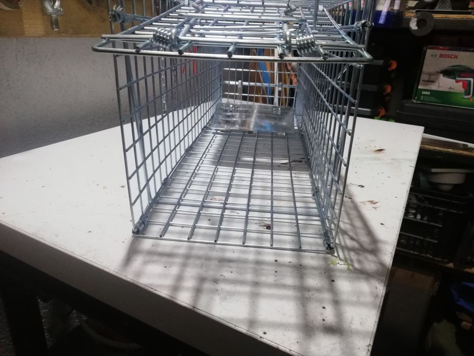 Capcana animale dăunătoare (dihori, șobolani, veverițe, pisici)