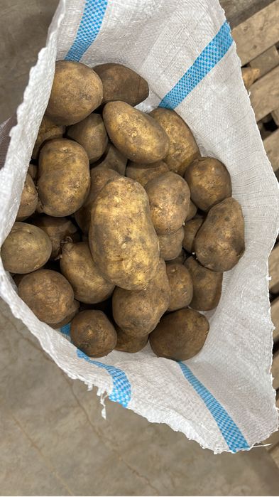 Продам картошку оптом 120-110 тенге доставка есть