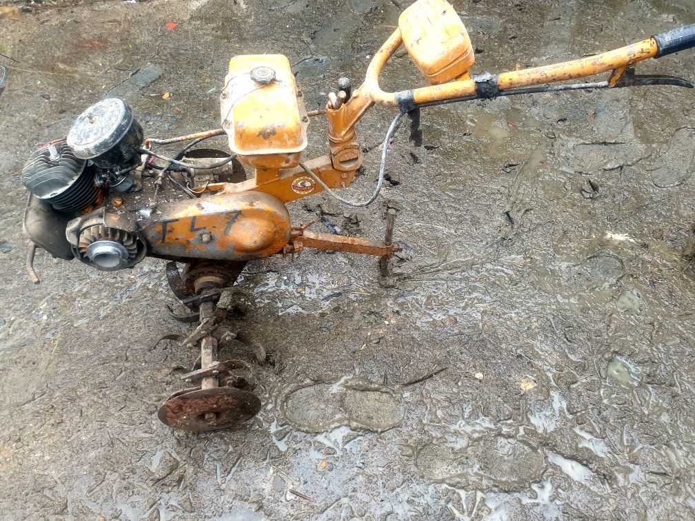 Motosapa defecta
