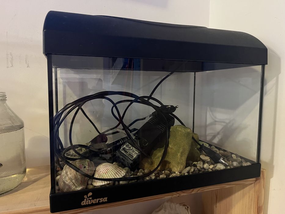 Аквариум Diversa 38l