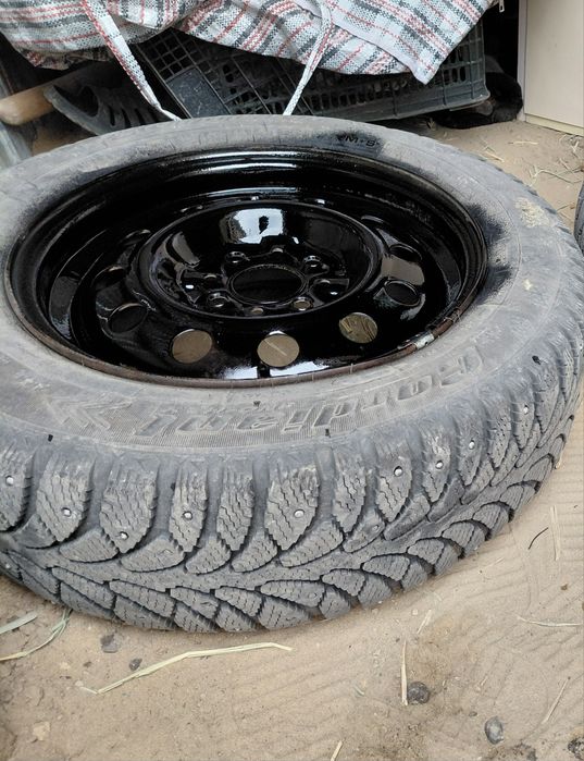 Зимний балон нексияға жағдайы орта