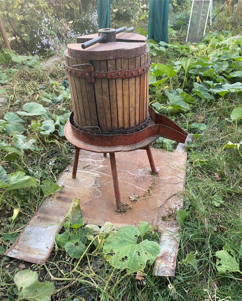 Teasc de struguri