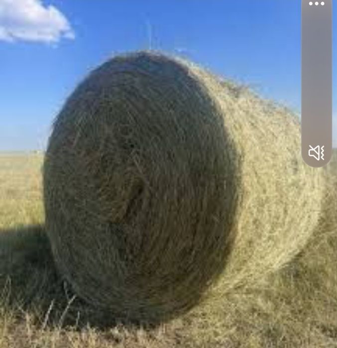 Продам рулон сено с доставкой