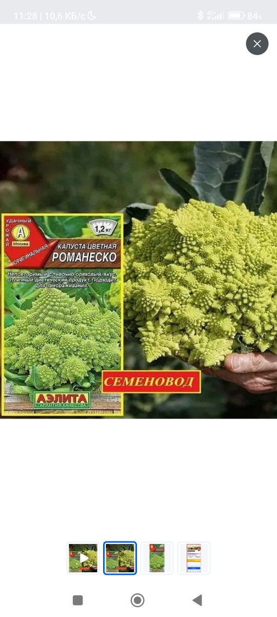 Капуста цветная РОМАНЕСКО. 0