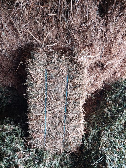 Baloti lucerna coasa 1 si 2