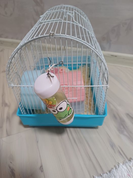 Клетка в отличном состоянии