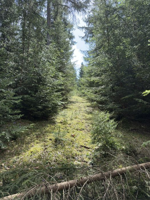 Teren Extravilan 6.651 mp