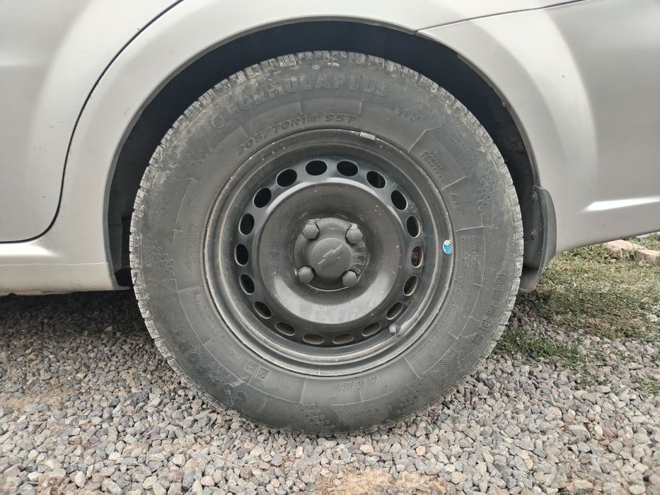 Diska balon komplekt cobalt balon xolati alo darajada