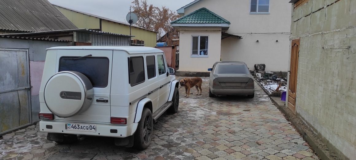 Дом в центре, ул.Мясоедова