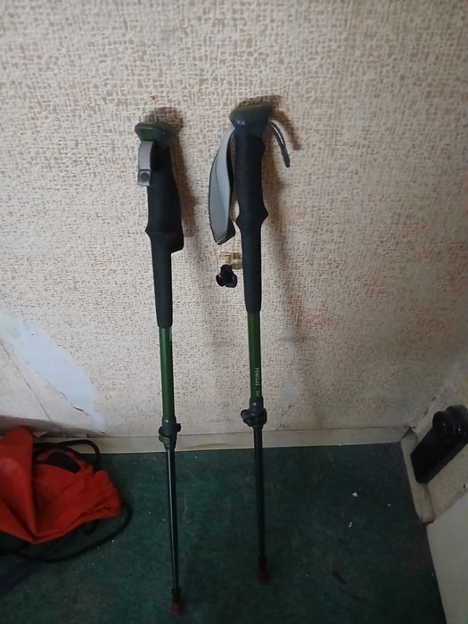 Туристически щеки