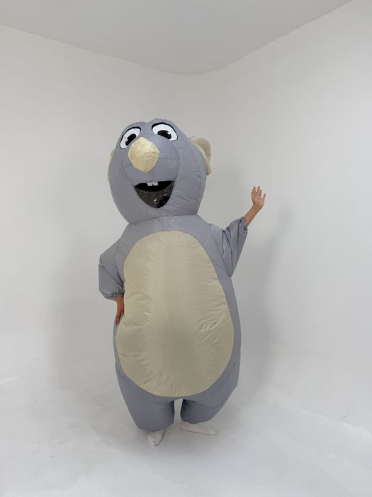 Аренда надувных костюмов