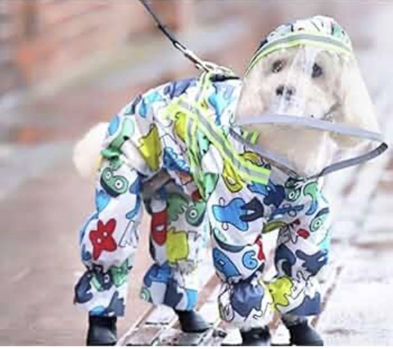 Дъждобран за куче