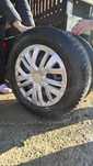 Cauciucuri iarna cu jante 195/55 r16
