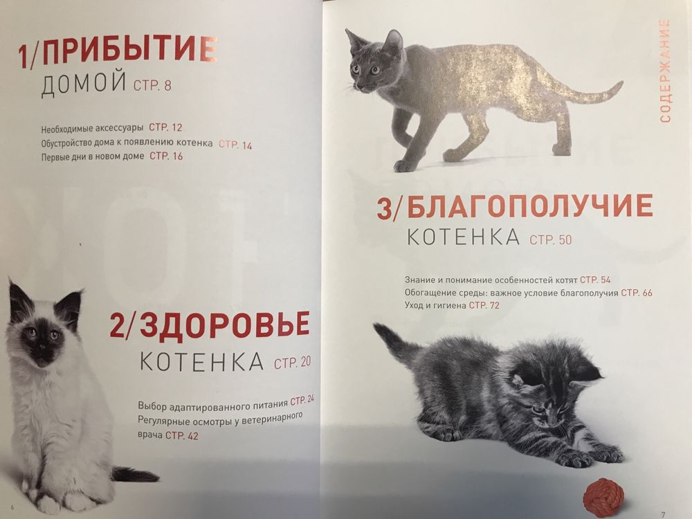 Брошюра «Котёнок в доме» 77 стр.