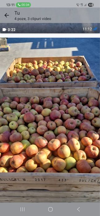 Avem mere si pere de vanzare