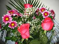 Дарим бесплатно красивейшие букеты цветов всем женщинам и девушкам.
