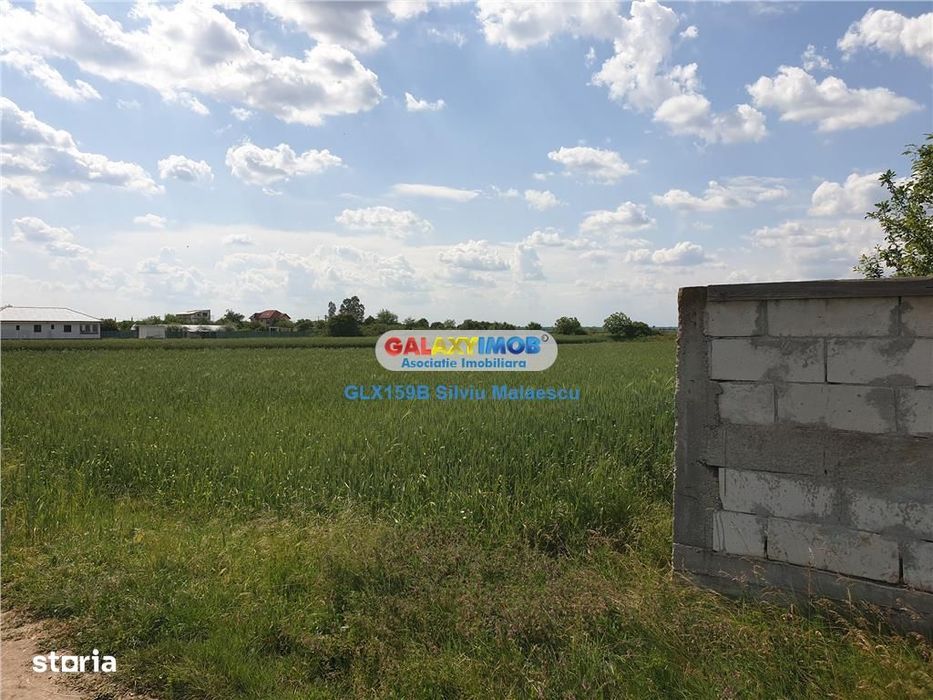 Crevedia - Darza - Teren 13.055 Mp