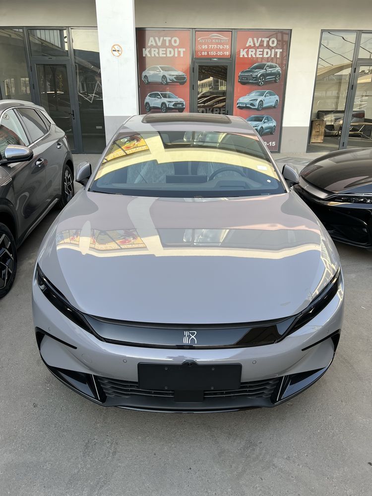 BYD XAN Qora narda grey